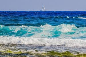 Diseño sin título (13)